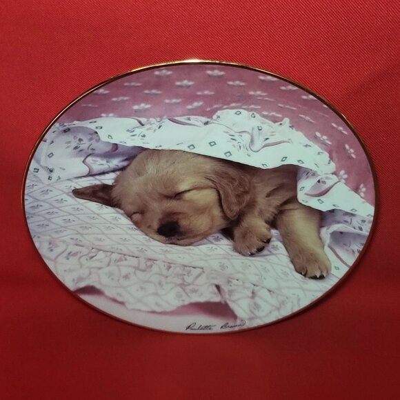Do Not Disturb Golden Puppy Portraits Plate The Hamilton Collection 1994 - Picture 4 of 11